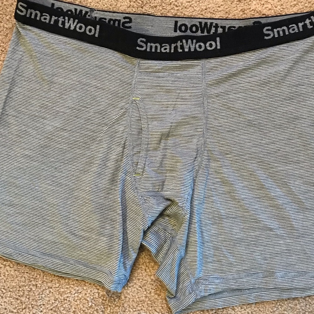 Smartwool 150 Merino Boxer Briefs